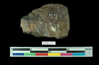 藏品(黃銅礦)的圖片